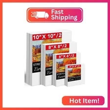 Stretched Canvases for Painting, 8PCS Multi Pack Square Canvas 4×4”, 6×6”, 8×8”,