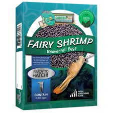 Fairy Shrimp Beavertail Eggs Live Fish Food for Hatching and Feed Betta Fish