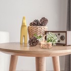 Foto 10 di 12