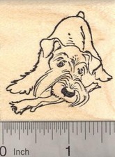 Schnauzer Dog with Natural Ears Rubber Stamp, with Chew Toy E20013 WM