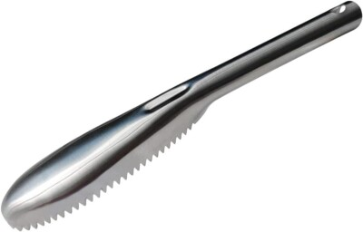 #ad Fish Scaler Stainless Steel Fish Scaler Remover Tool Sawtooth Fish Descaler $12.99