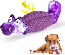 HGB Tough Dog Chew Toys for Aggressive Chewers, Squeaky Indestructible Dog Toy f