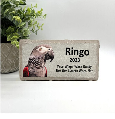 African Grey Memorial - Personalized Pet Memorial Stone -Bird Loss sympathy Gift