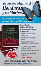 Honduras y Sus Mariposas