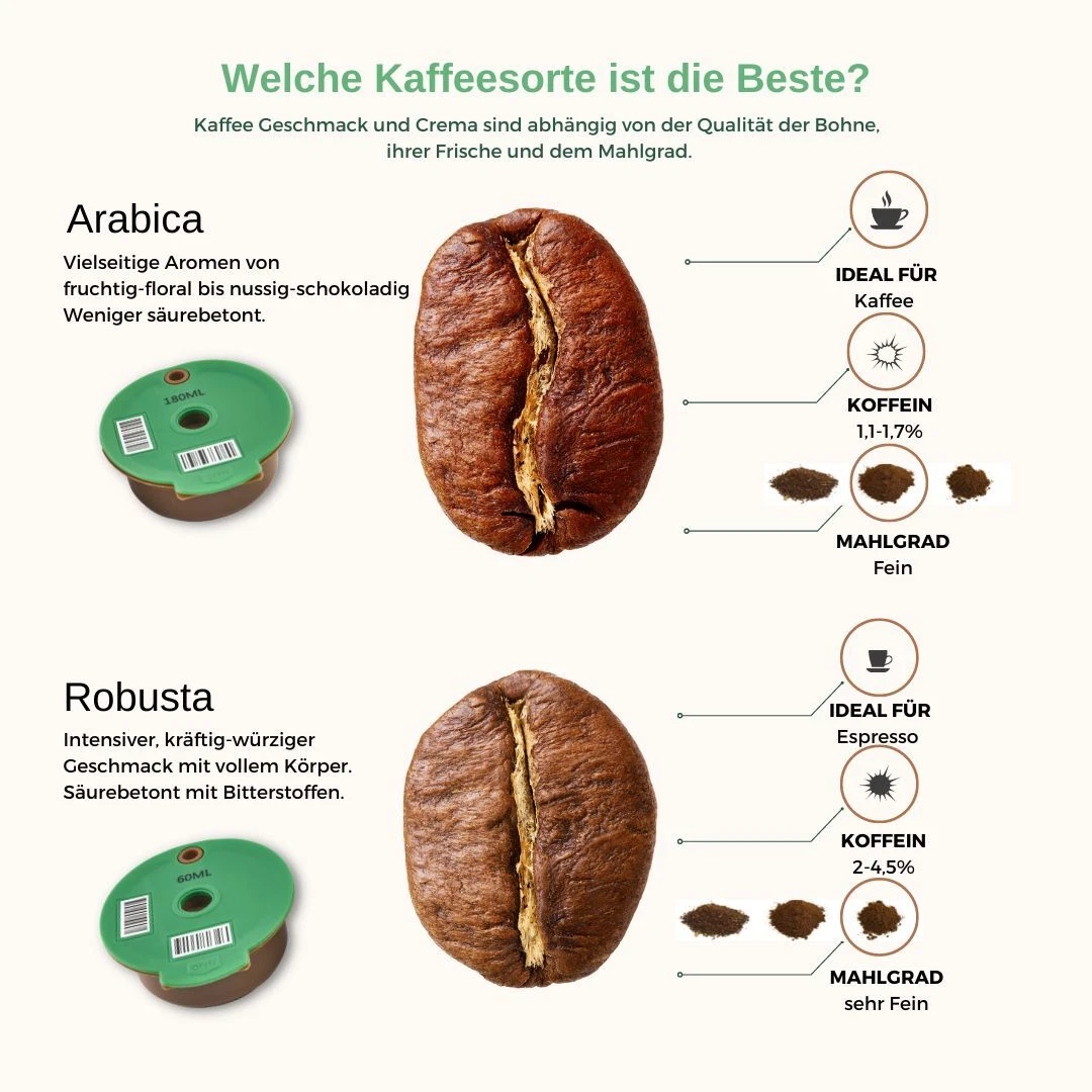 Bild 11 von 12