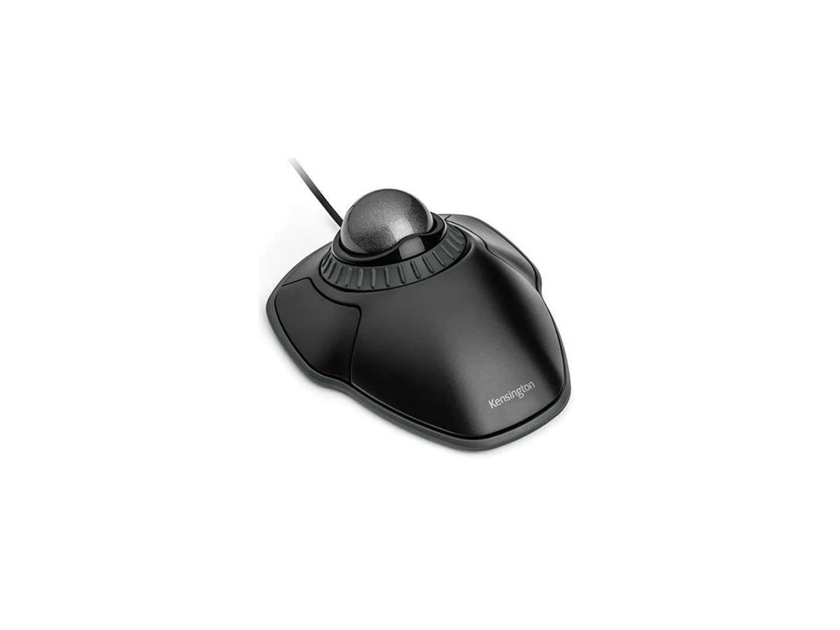 Kensington mouse 2024