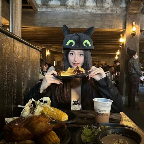 Mütze Kappe BJ Universal Studios How To Train Your Dragon Night Fury ohne Zahn