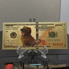 24k Gold Foil Plated Dug From Up Banknote Disney Collectible
