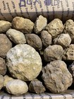 BOX OF KENTUCKY GEODES:VARIOUS SIZES-1” TO 4” LAPIDARY! BOX B — photo 2