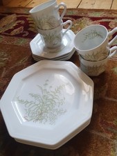 Gallo Leonardo Fougere Sommerfarn Kaffeeservice 12 Teilig