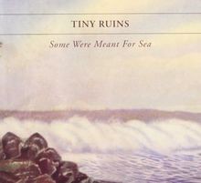 Some Were Meant for Sea von Tiny Ruins | CD | Zustand gut