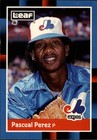 1988 Leaf Donruss Baseball Card #248 Pascual Perez ~ Grade: NM