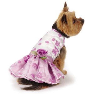 pretty dog dresses