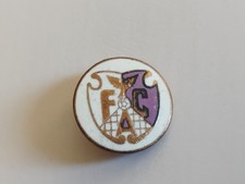 FC ARGES PITESTI ROMANIA FOOTBALL  BROOCH PIN BADGE