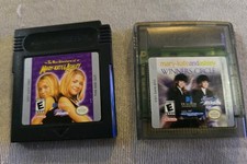 The New Adventures of Mary-Kate & Ashley Winners Circle Gbc Gameboy Color 1999