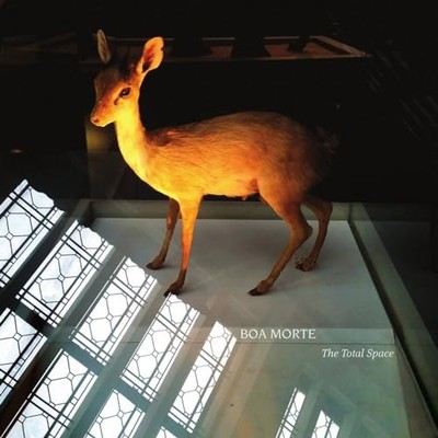 Boa Morte - Total Space - Vinyl Record - H4z