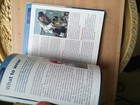 Bild 11 von 12