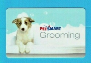 petsmart puppy bath