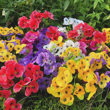 12 Bundles Artificial Pansy Flowers Faux Plastic Wild Flowers Bushes for Home Ki