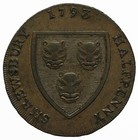Foto 5 di 5