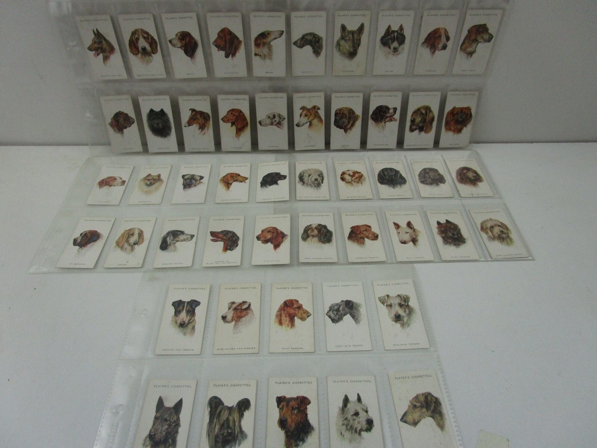 john players cigarette cards John Player Cigarette Cards Full Set of 50 Dogs Heads Paintings by Arthur  Wardle