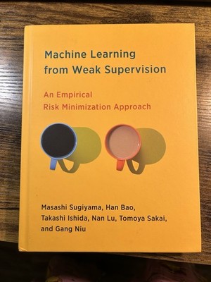 Machine Learning from Weak Supervision: An Empirical Risk Minimization Approach