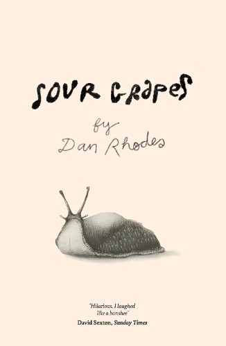 Sour Grapes by Dan Rhodes PAPERBACK 9781785633058 - Image 5