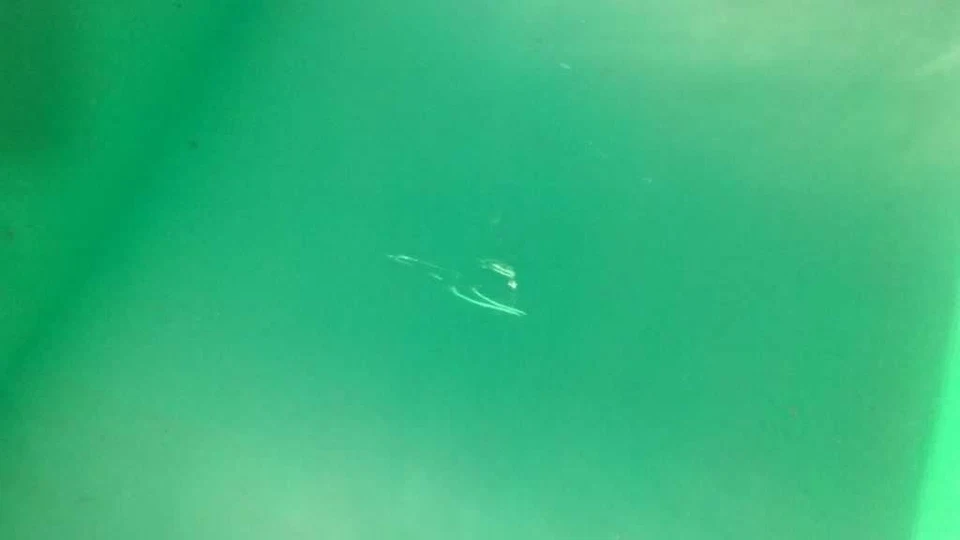 08 09 10 BMW 528i 525i 530i M5 DRIVER LEFT REAR WINDOW DOOR GLASS OEM 3455-54 Foto 3 de 4