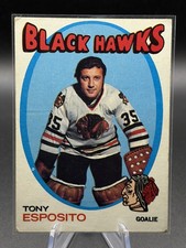 Click to enlarge Tony Esposito