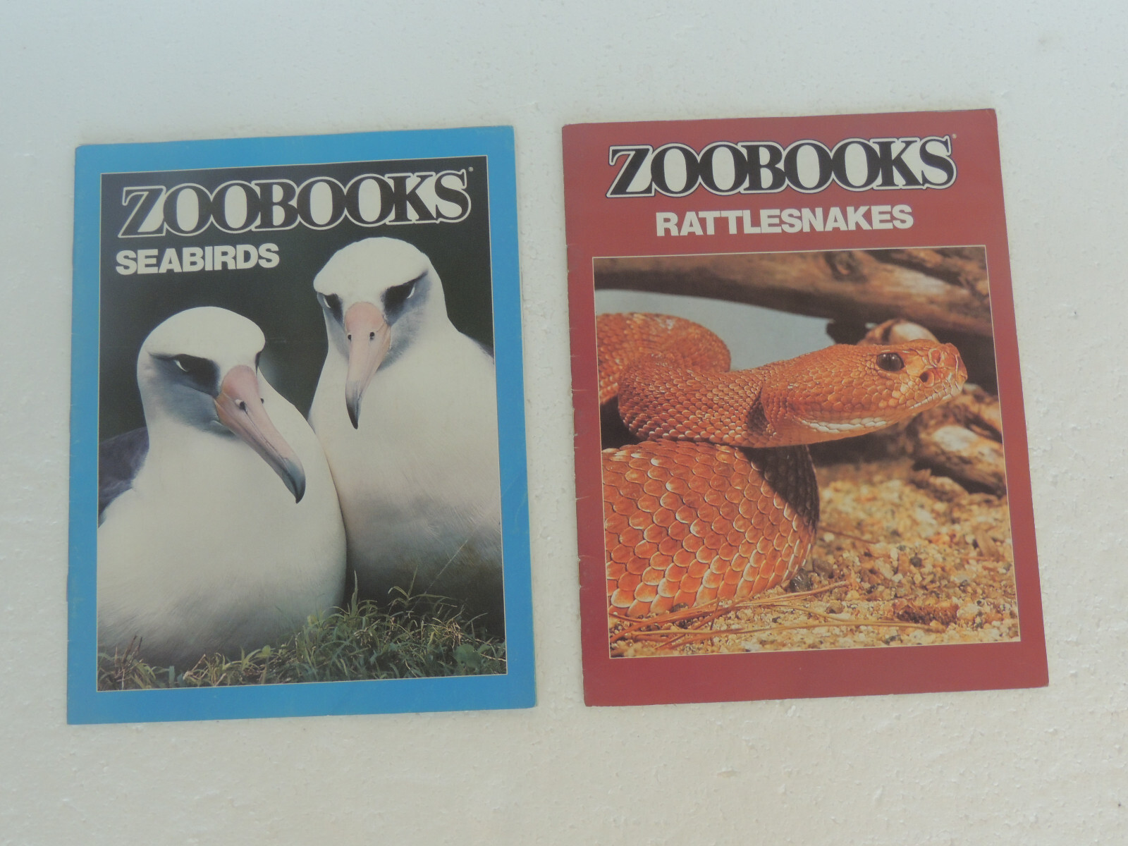 Seabirds + RATTLESNAKE (Zoobooks Series) eBay