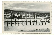 Vintage Real Photo PC: Arras-Bethune German Military Cemetery, Meurchin, France
