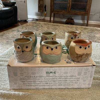#ad #ad Sun E Owl Ceramic Bonsai Pots W Hole Plant Succulents Bird 6 Pc $14.99
