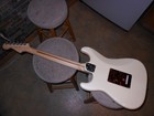 Picture 16 of 24