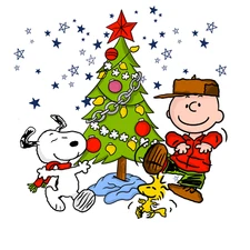 Direct To Film Transfer, Ready to Press, Iron on Transfer, DTF, Charlie Brown