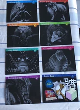 Weird N’ Wild Creatures Information Card Dividers x8