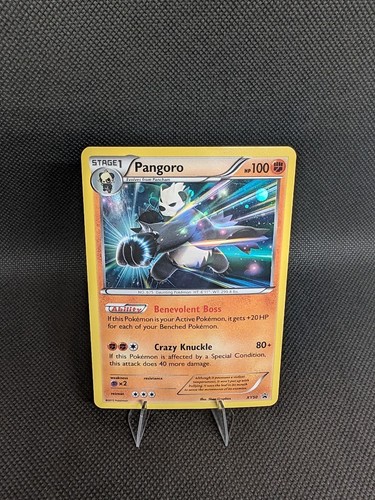 Pangoro XY50 XY Promos Holo Pokemon TCG NM