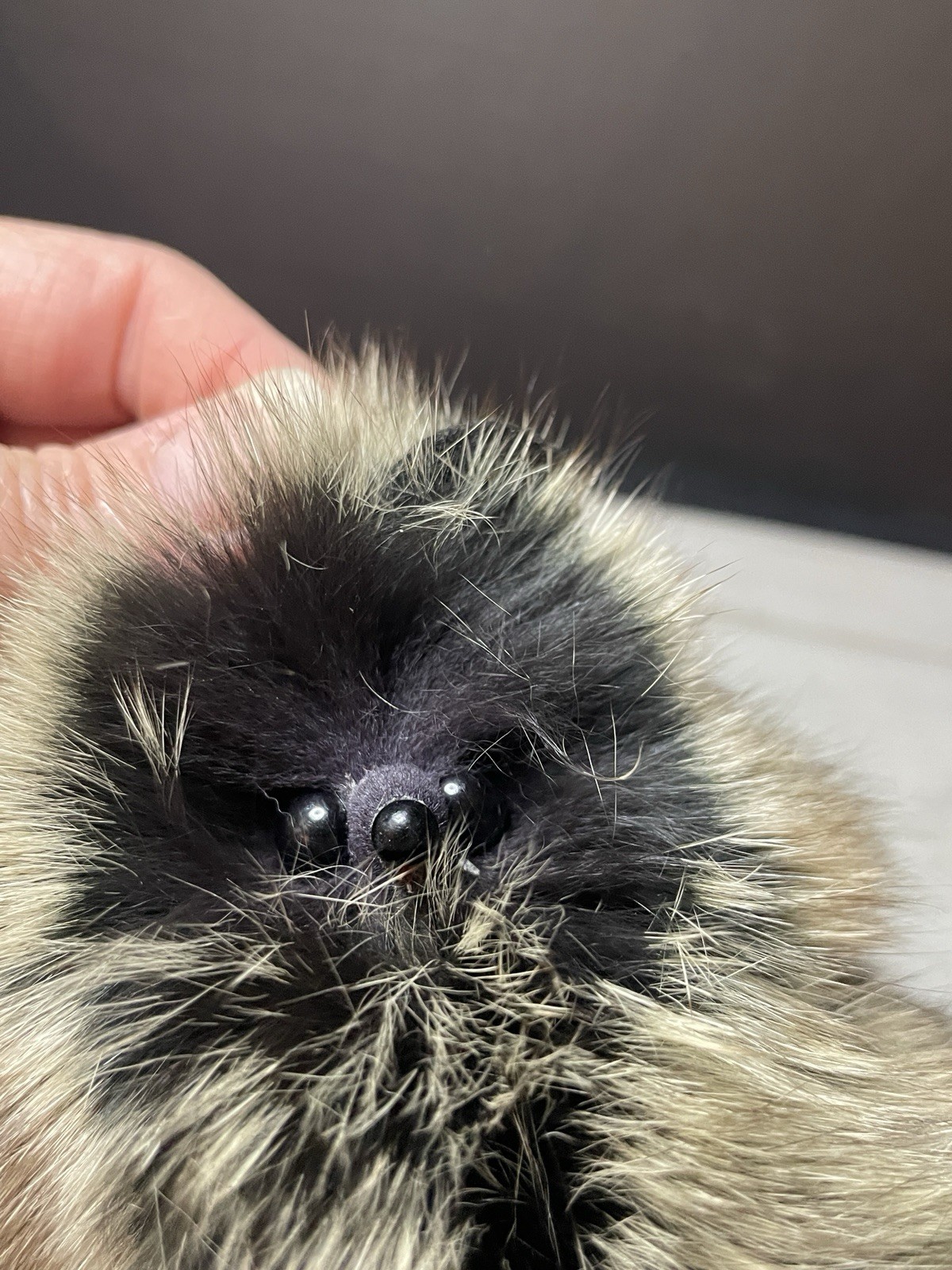 Soft Real Fur Keychain Fox With Attached Tail -Squeaks When Shaken- Korea