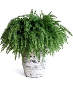12 Pcs Christmas Norfolk Pine Branches - 18'' Artificial Norfolk Branch Faux Stem
