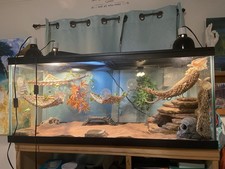 Imagitarium Framed Glass Aquarium Tank 75 gal Glass Rectangle