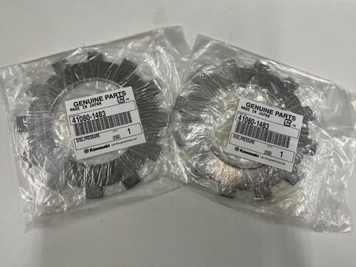 Kawasaki Genuine Teryx 750 800 Rear Brake Disk Complete Kit New set - Picture 4 of 5