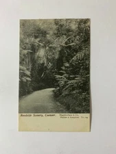 INDIA ROADSIDE SCENERY COONOOR POSTCARD N 229 NEW