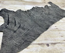 Grey Genuine African Cape Buffalo Gray Safari Hide Skin Leather 110B