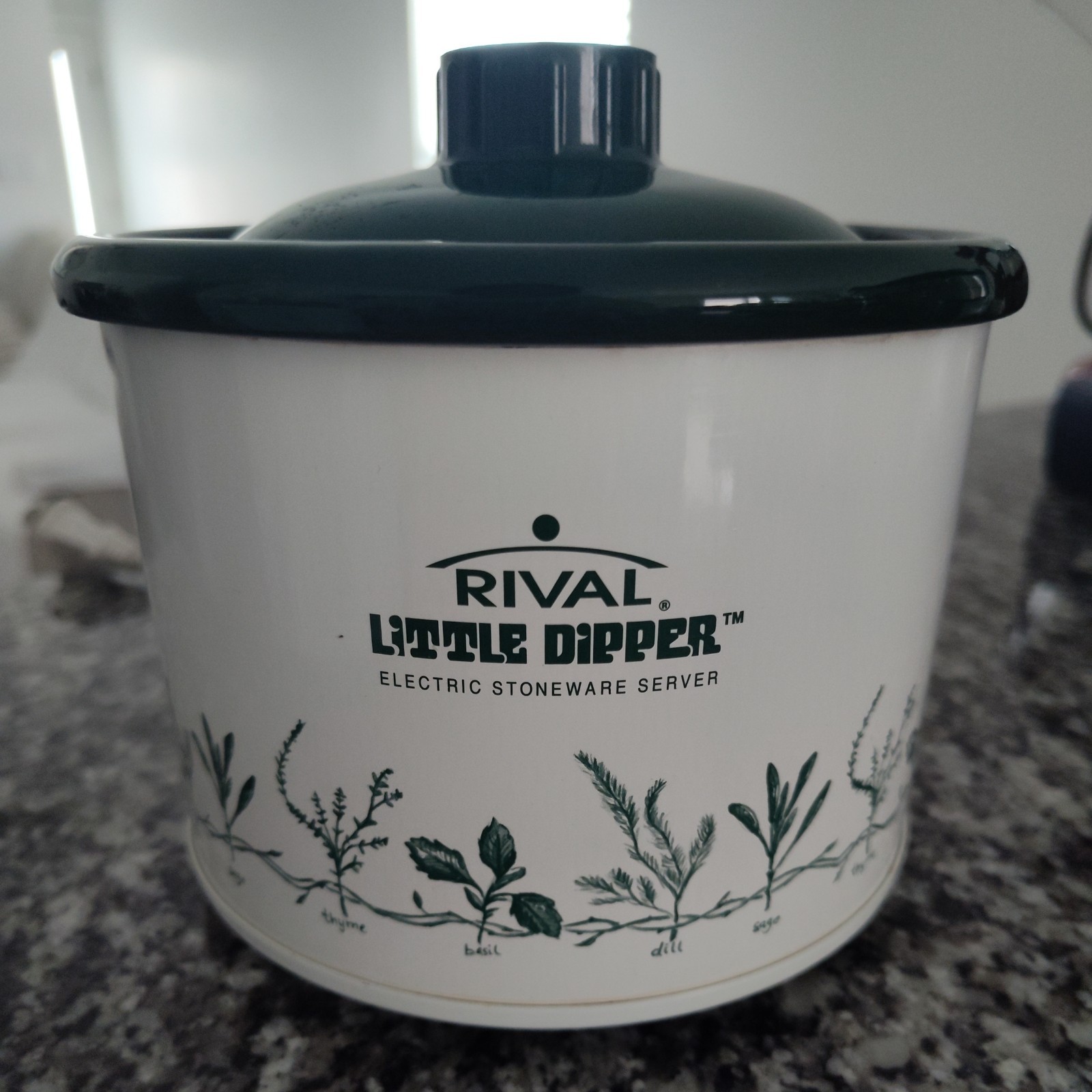 Rival Little Dipper Floral Crock Pot