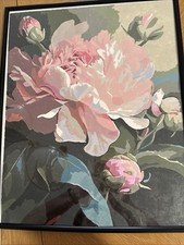 Floral Print Framed Painted. 12x16