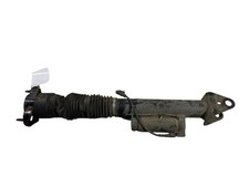 Mercedes-Benz GLS X166 2019 Rechts Sto&szlig;d&auml;mpfer hinten A1663261300 UTO63669