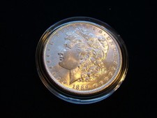  on The Hot Collector