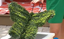 Improvements 15" Boxwood Butterfly, Outdoor Topiary,30 LED Lights, Solar, 852479