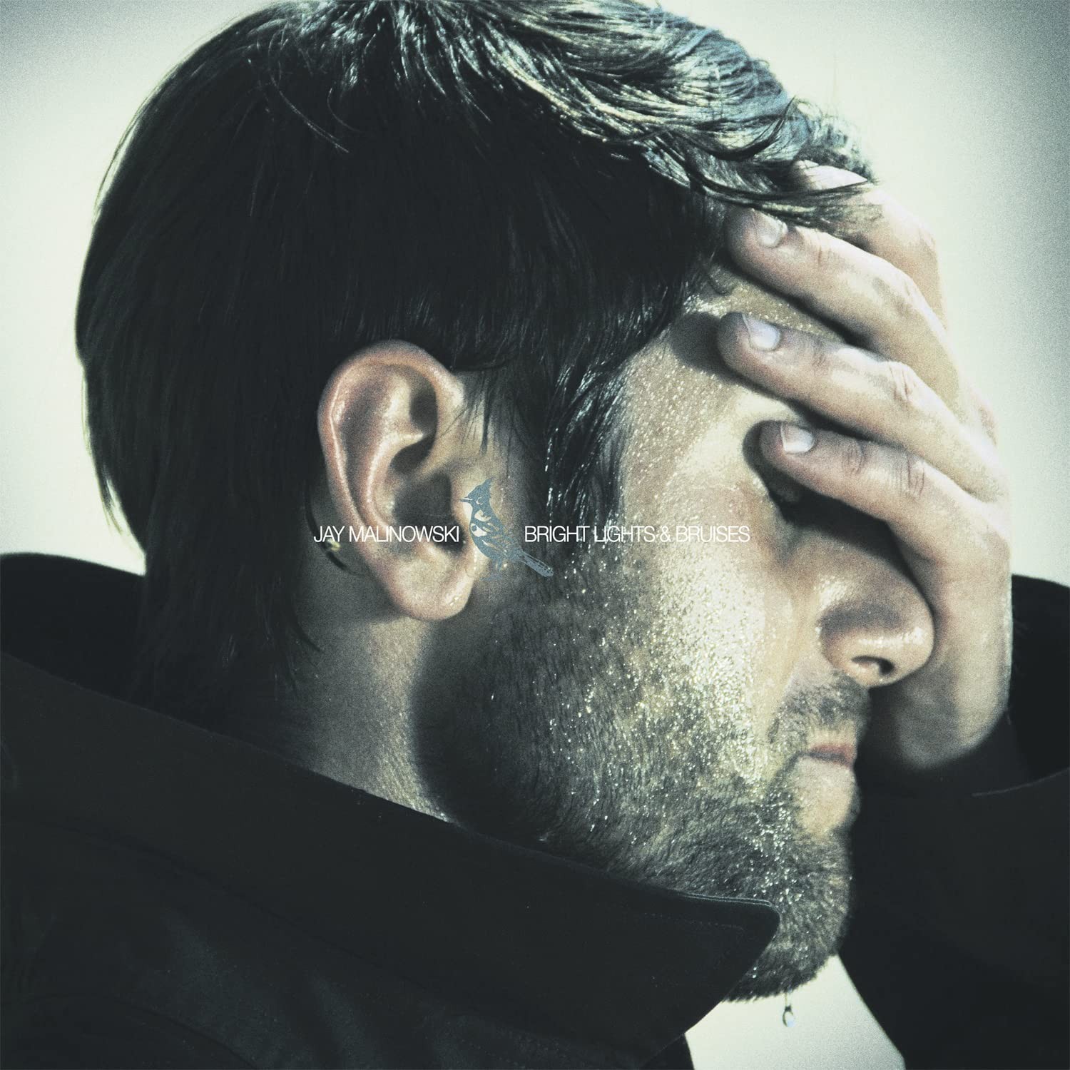 Jay Malinowski Bright Lights & Bruises (CD)