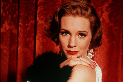 Star Movie Julie Andrews Wall Art Home Decor - POSTER 20x30