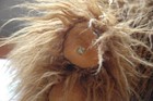 Bild 5 von 6